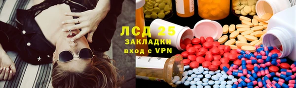 индика Вяземский