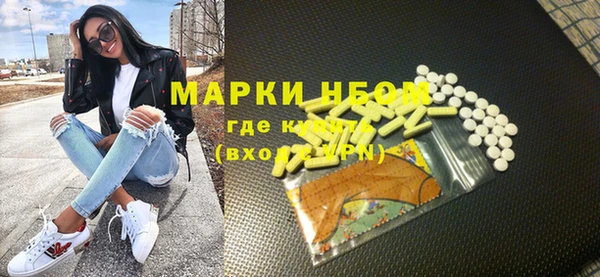 индика Вяземский