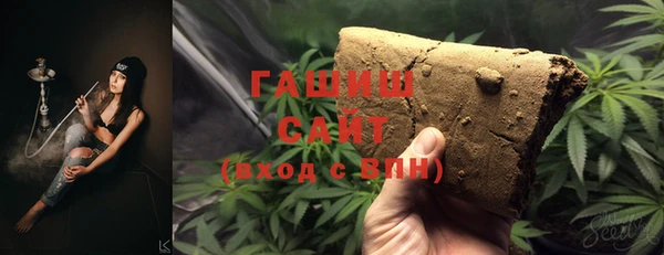 индика Вяземский