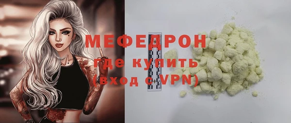 индика Вяземский