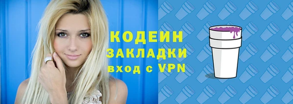индика Вяземский