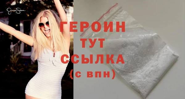 индика Вяземский