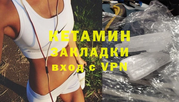 индика Вяземский