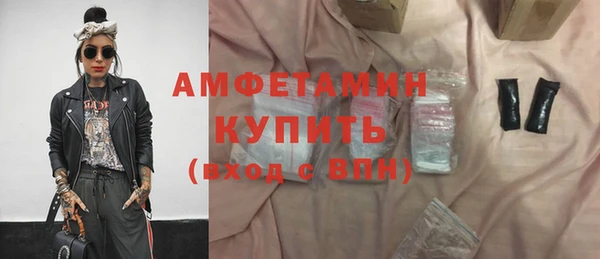 индика Вяземский
