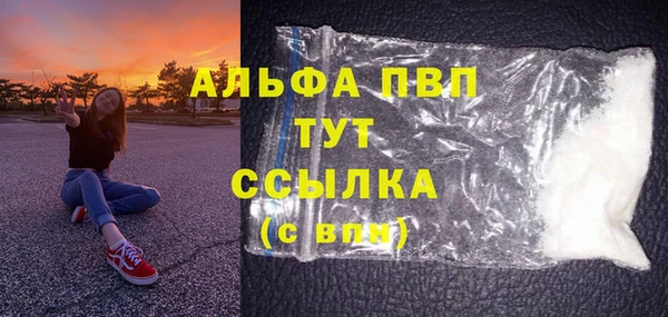 индика Вяземский