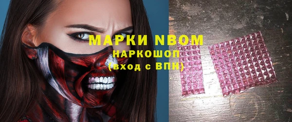 индика Вяземский