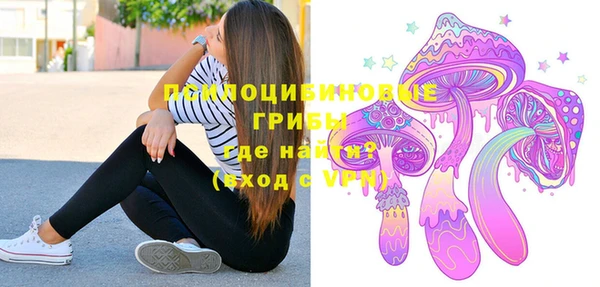 индика Вяземский