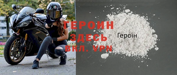 индика Вяземский