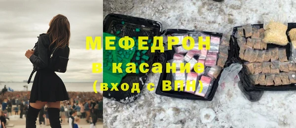 индика Вяземский