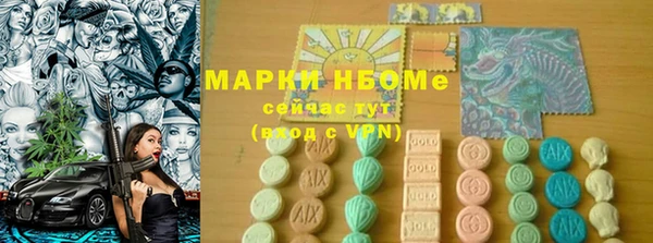 индика Вяземский