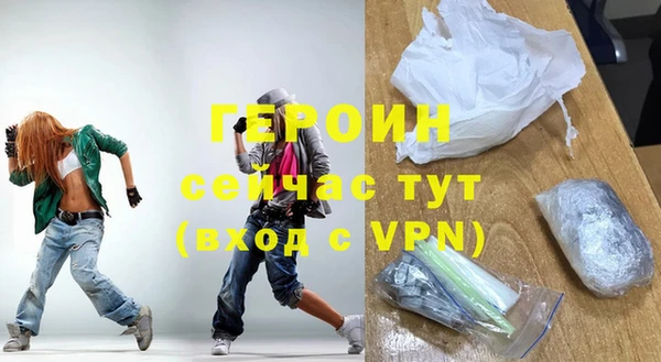 индика Вяземский