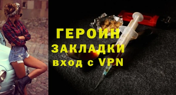 индика Вяземский